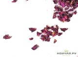 Роза чайная