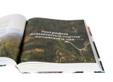 География китайского чая. Сергей Шевелев. Издание второе, дополненное. 511 стр.
