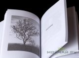Заветные строки. Екатерина Шевелева. 312 стр.