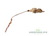 Ферментированный лист Абрикоса