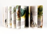 Иван Купреянов - "Мяв, Тяф и Чай", детская книга стихов о чае (2020)