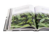 Geography of Chinese tea. Sergey Shevelev. 512 pages