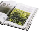 Geography of Chinese tea. Sergey Shevelev. 512 pages