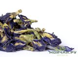 Тайландский синий чай (Клитория тройчатая, анчан)
