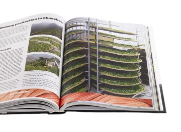 Geography of Chinese tea. Sergey Shevelev. 512 pages