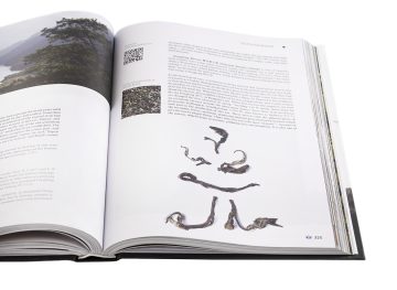 Geography of Chinese tea. Sergey Shevelev. 512 pages