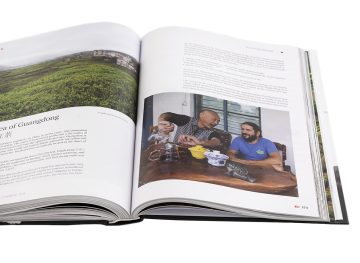 Geography of Chinese tea. Sergey Shevelev. 512 pages