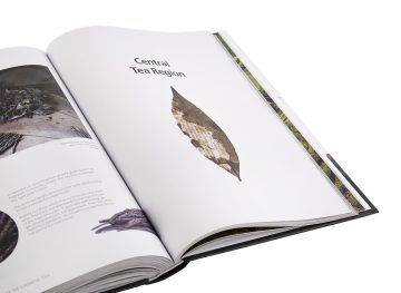 Geography of Chinese tea. Sergey Shevelev. 512 pages