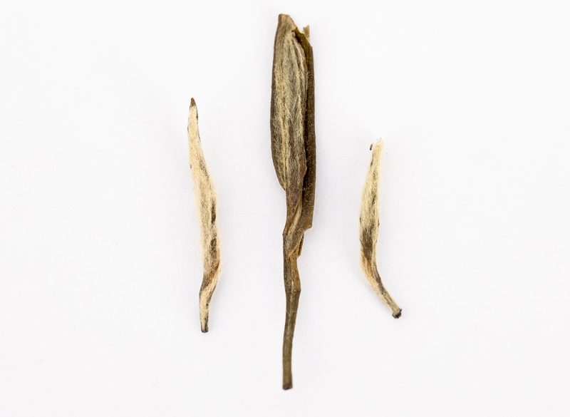 Лао Цзюньшань Юй Цзянь, 2005
