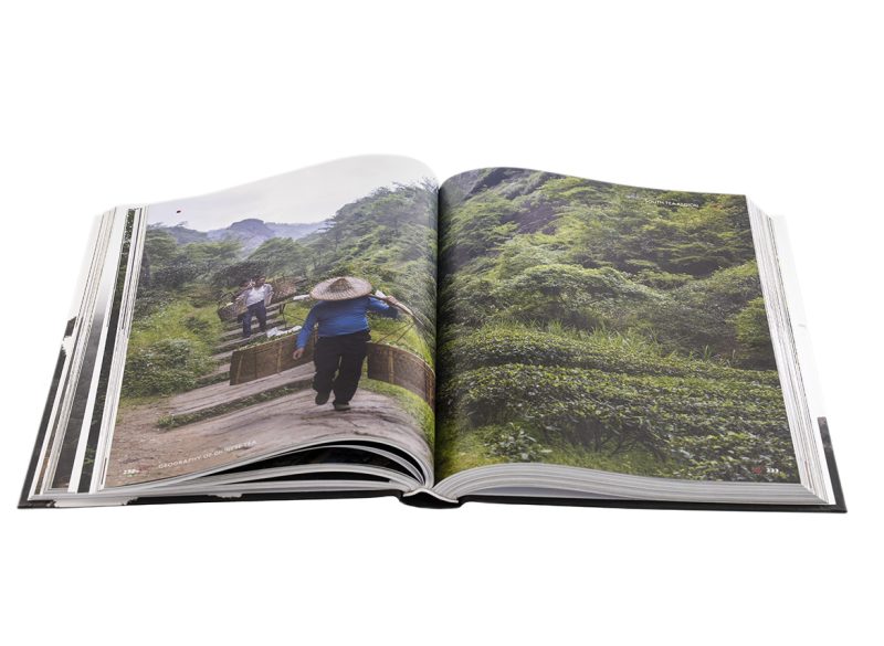 Geography of Chinese tea. Sergey Shevelev. 512 pages