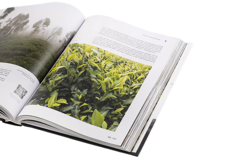 Geography of Chinese tea. Sergey Shevelev. 512 pages