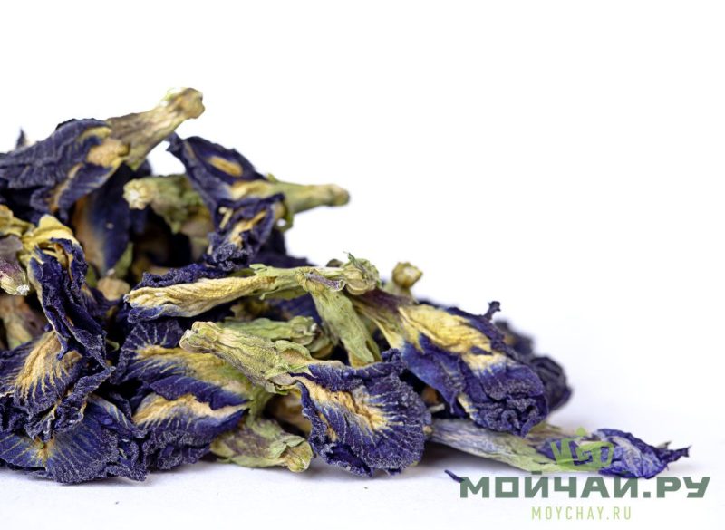 Тайландский синий чай (Клитория тройчатая, анчан)